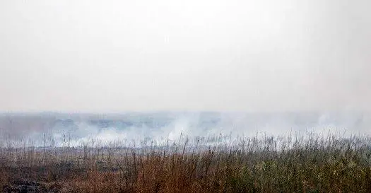 ساعت،فعاليت،آلودگي،استان،كارگروه،خوزستان