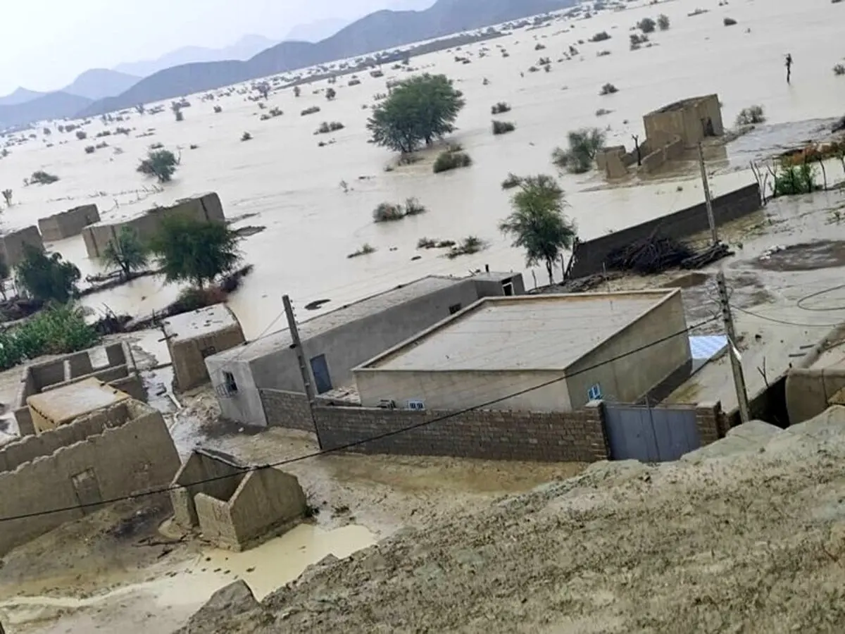 نجات معجزه‌آسای پدر و پسر از سیل سیستان و بلوچستان؛ یک شبانه روز بالای درخت خرما بودیم