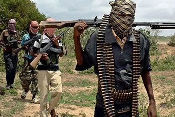 تروریست‌ها ۲۲۷ دانش‌آموز و معلم را در یک مدرسه کاتولیک در شمال غربی نیجریه ربودند