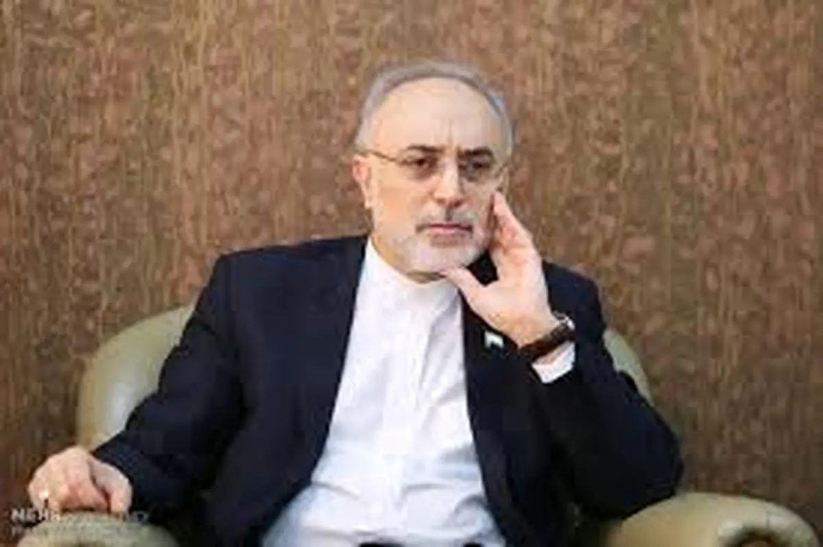 اتهام روزنامه دولت به علی‌اکبر صالحی؛ بسترساز انحراف دستگاه دیپلماسی است 