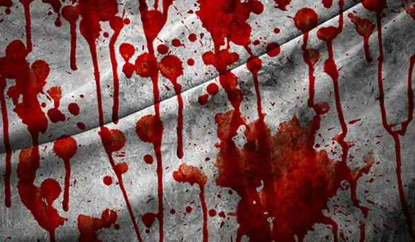 سرقت از گاوصندوق؛ انگیزه پسر ورشکسته برای قتل مادر