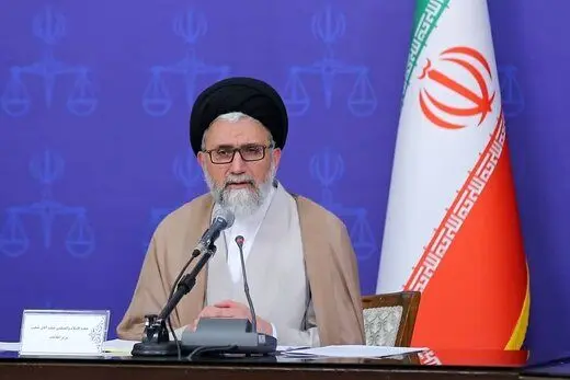 واکنش وزیر اطلاعات به دیدار مکرون و مسیح علی‌نژاد: در تحمیل ملاقات با آن «زن لوده» سرش کلاه گذاشتند 