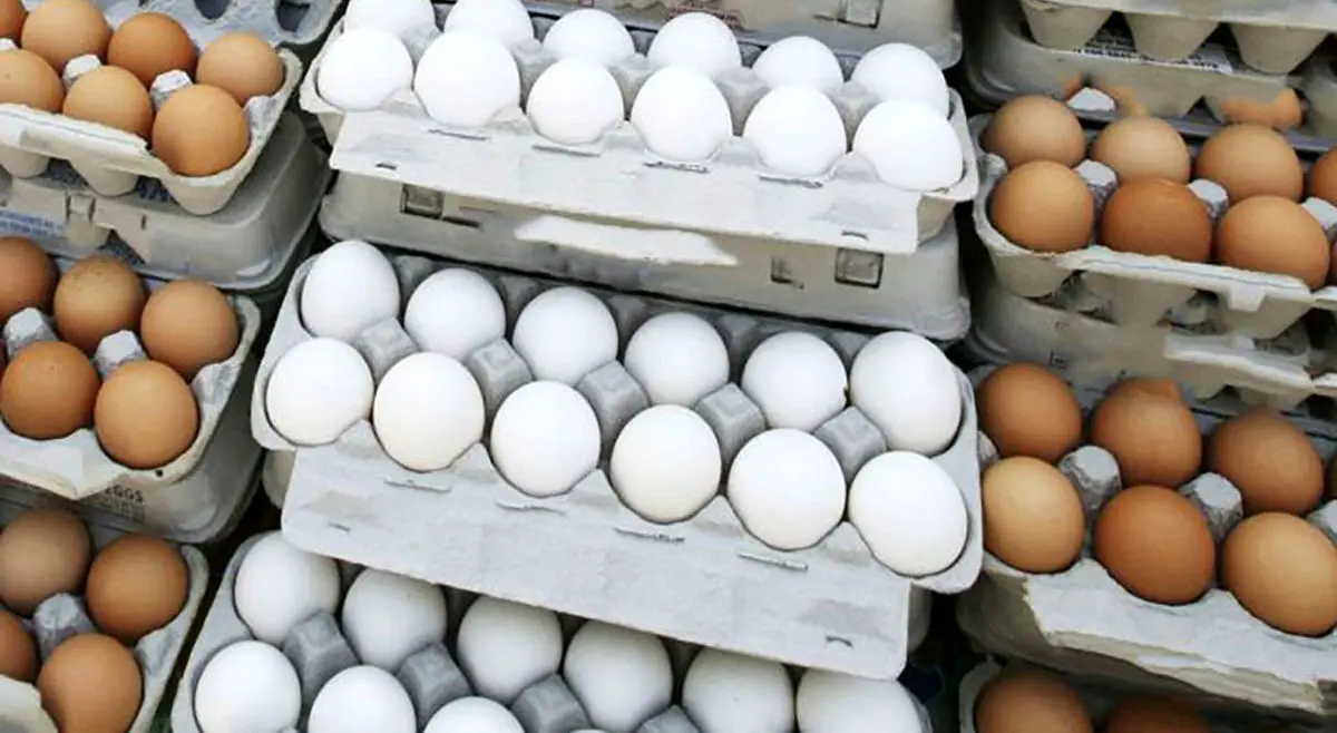 آخرین وضعیت بازار تخم مرغ در کشور