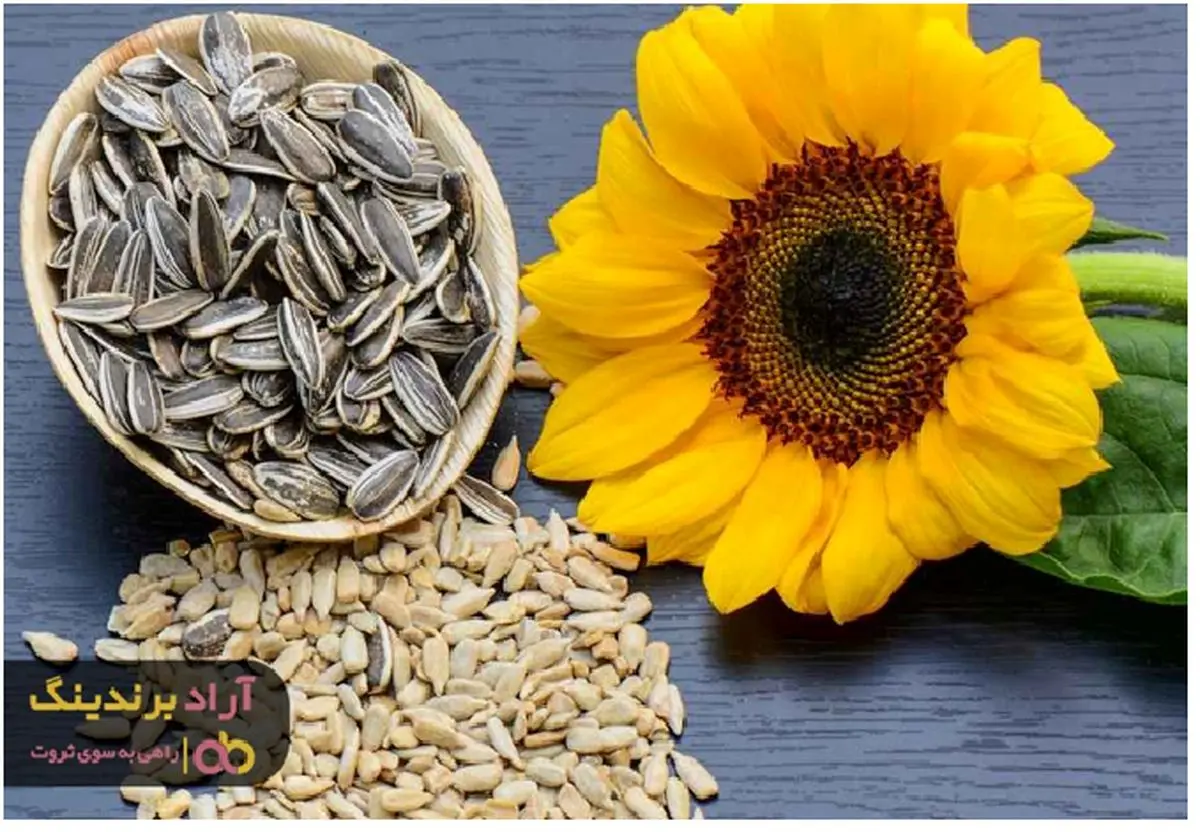 تخمه آفتابگردان پسته ای موجب شفافیت پوست می شود