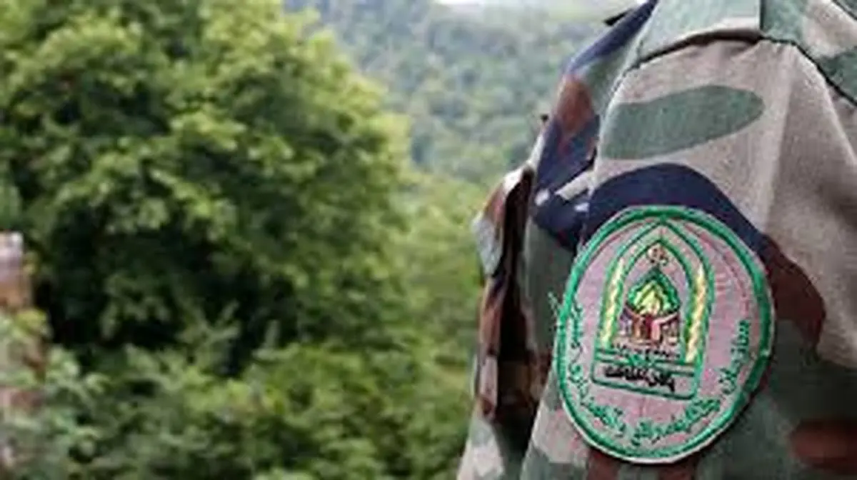 ماجرای درگیری خشونت‌آمیز در جنگل‌های اسالم چه بود؟