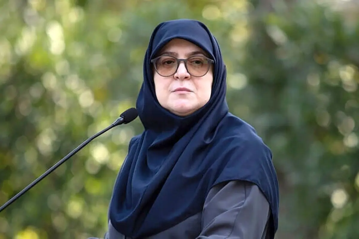 مجلس،دولت،نظارتي،رسميت