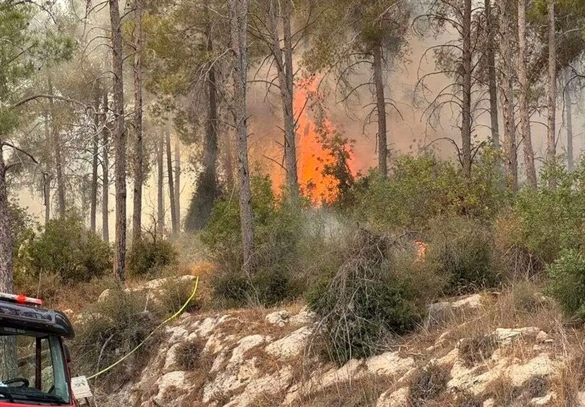ادامه آتش‌سوزی‌های سریالی در اسرائیل