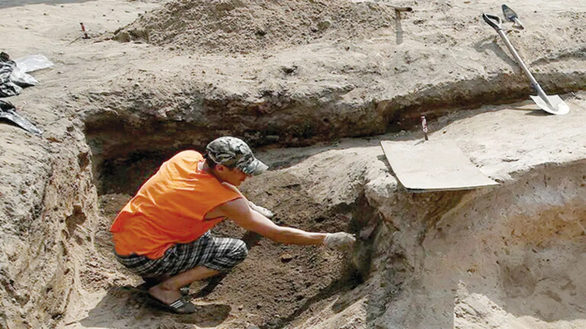 جمجمه یک شتر ۲.۵ میلیون‌ ساله در تاجیکستان کشف شد