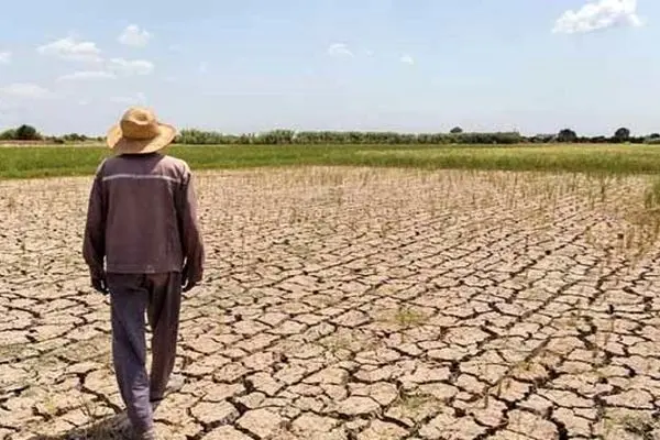 خشکسالی انسان‌ساخت در مازندران ریشه دوانده