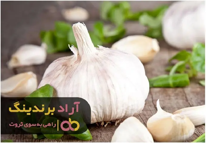 مصرف سیر سبز در درمان سرطان موثر است