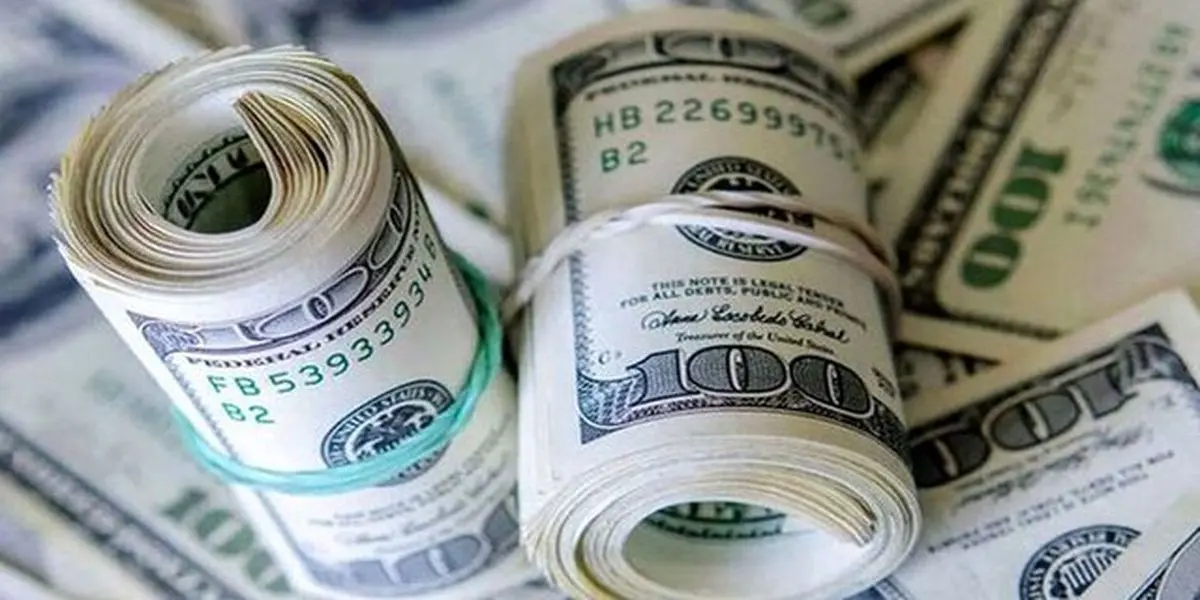 مجلس ۹ میلیارد دلار ارز ترجیحی برای کالاهای اساسی تصویب کرد
