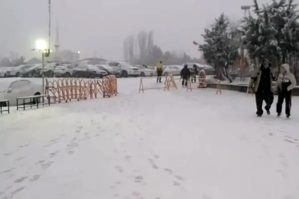 ببینید | آغاز بارش برف در توچال