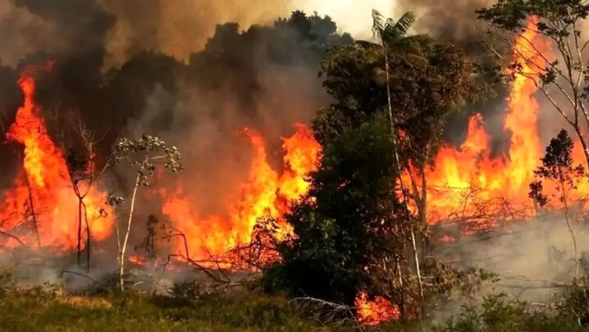 نقشه آتش‌سوزی جنگل هیرکانی/ پهپادهای حرارتی وارد جنگل‌های الیت شدند