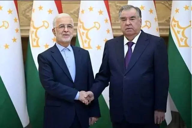 دیدار وزیر کشور با رئیس جمهور تاجیکستان