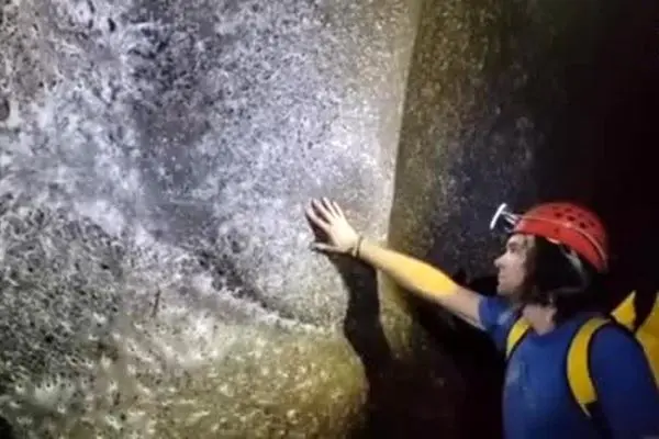 ببنید| کشف ۱۱۱ هزار عنکبوت در یک خانه!