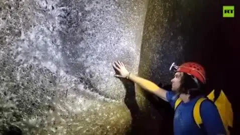 عنكبوت،تار،غاري