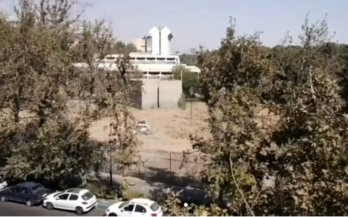 ماجرای قطع درختان موزه فرش چه بود؟