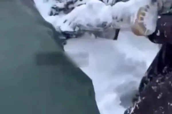 ببینید| لحظه پیدا شدن شهید مرزبان کهگیلویه و بویراحمدی رحیم مجیدی