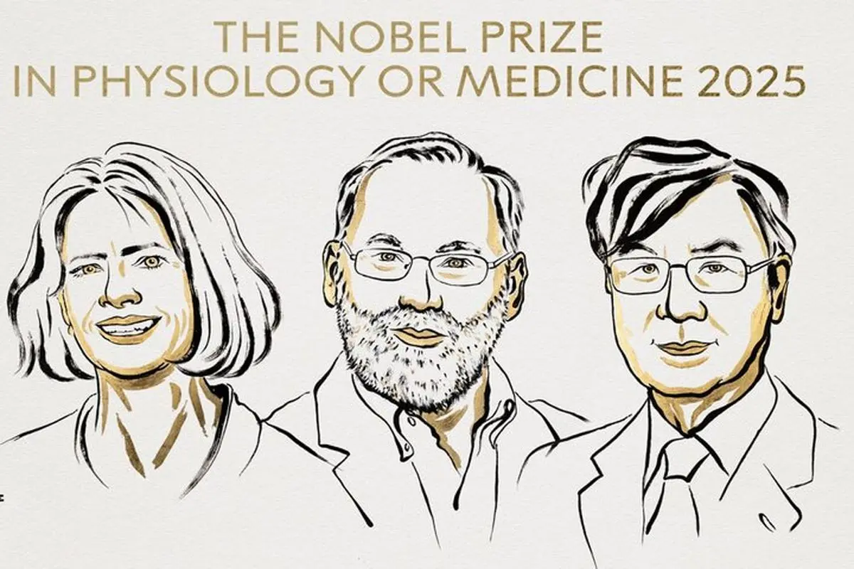 برندگان جایزه نوبل پزشکی ۲۰۲۵ معرفی شدند