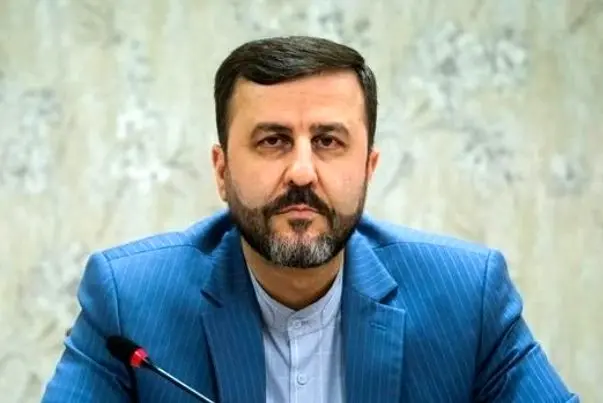 معاون وزارت خارجه: پیگیری تحریم‌ها و استرداد مجرمان در اجلاس شانگهای/ پیشنهادهای قضایی علیه تروریسم مبنای کار