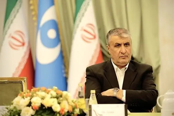 سازمان انرژی اتمی: ظرفیت نصب‌شده ایران فقط ۳ درصد، اما ۲۵ درصد بازرسی‌ها از ماست؛ در سال ۲۰۲۴ بیش از ۴۵۰ بازرسی انجام داد