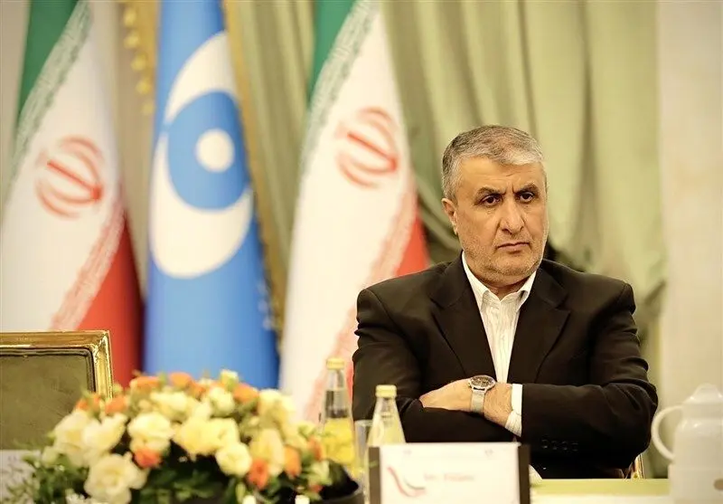 سازمان انرژی اتمی: ظرفیت نصب‌شده ایران فقط ۳ درصد، اما ۲۵ درصد بازرسی‌ها از ماست؛ در سال ۲۰۲۴ بیش از ۴۵۰ بازرسی انجام داد