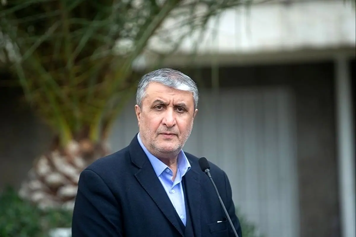 اسلامی: مبنای تعامل ما با آژانس قانون مجلس است