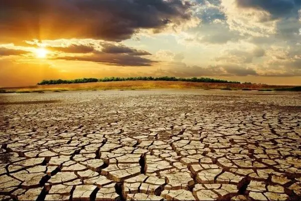 از کُردانیسم تا دِلفانیسم
