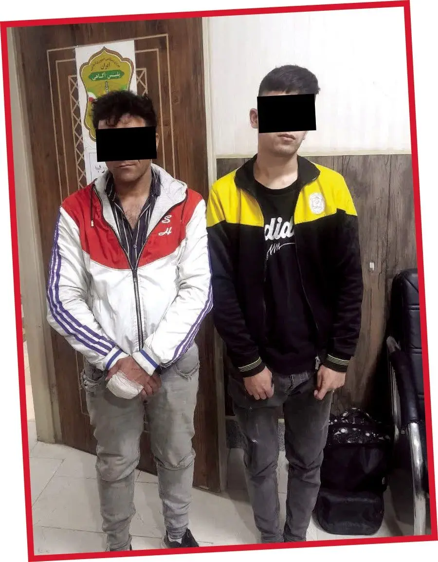 سرقت،آپارتماني،واحد،تجسس،سارقان،لوازم،منزل،افسران،دايره،دورب ...