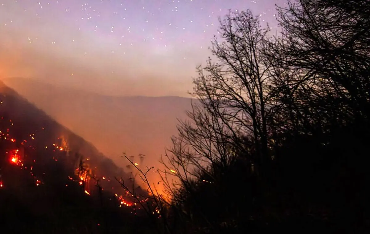 عامل آتش‌سوزی جنگل‌های هیرکانی در بابل دستگیر شد + جزئیات
