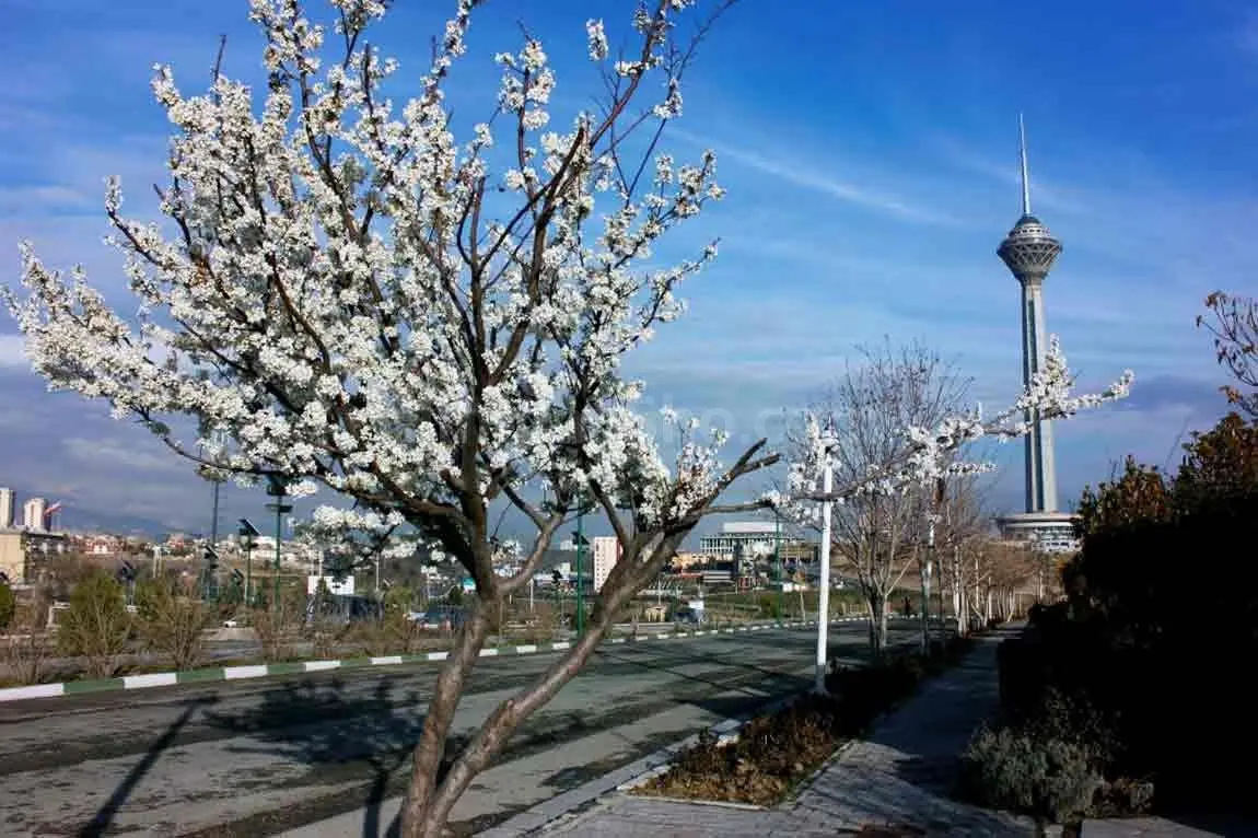 بهار تهران امسال گرم خواهد بود