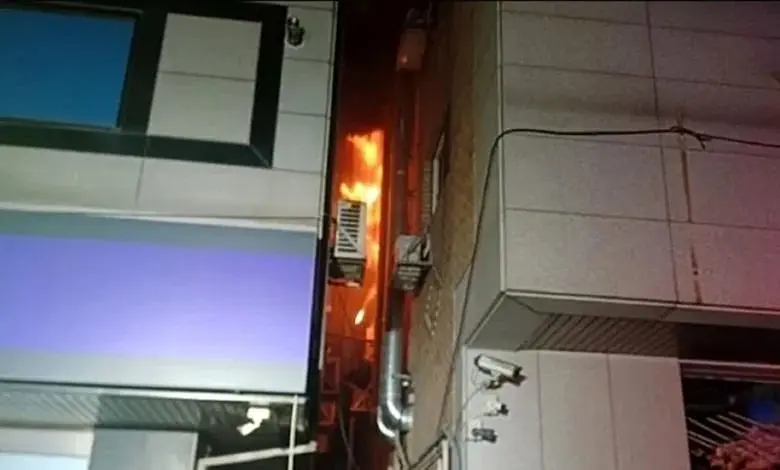 آتش،زن،جنوبي،كره،سوسك