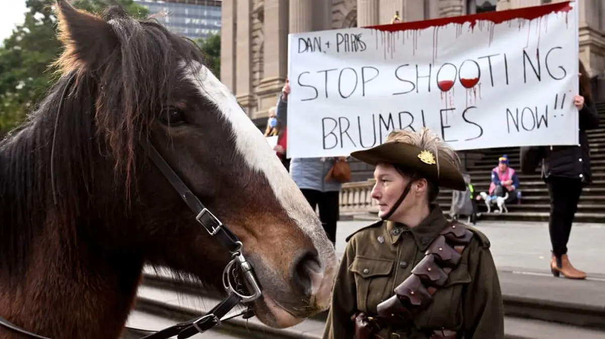 استرالیا قتل عام اسب‌های وحشی را تصویب کرد
