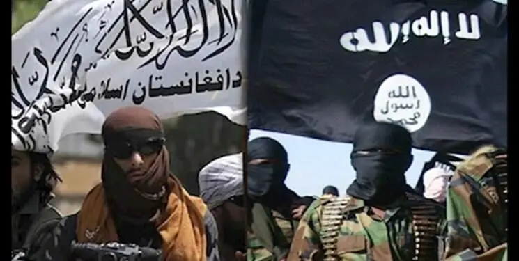 طالبان از داعش جدا نیست؛ اگر مسئولان باور ندارند در درک سیاسی خود تردید کنند