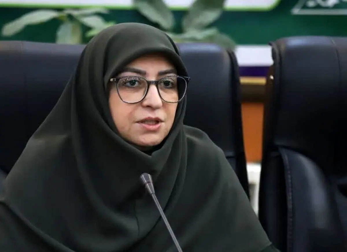 معاون رئیس جمهور: ایران موفق به حذف بخش زیادی از گازهای مخرب لایه ازن شد