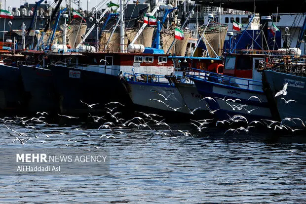 ايران،بنادر،تخليه،بندر،ترخيص،كالا،كشتيراني،انجمن،انتظار،بالع ...