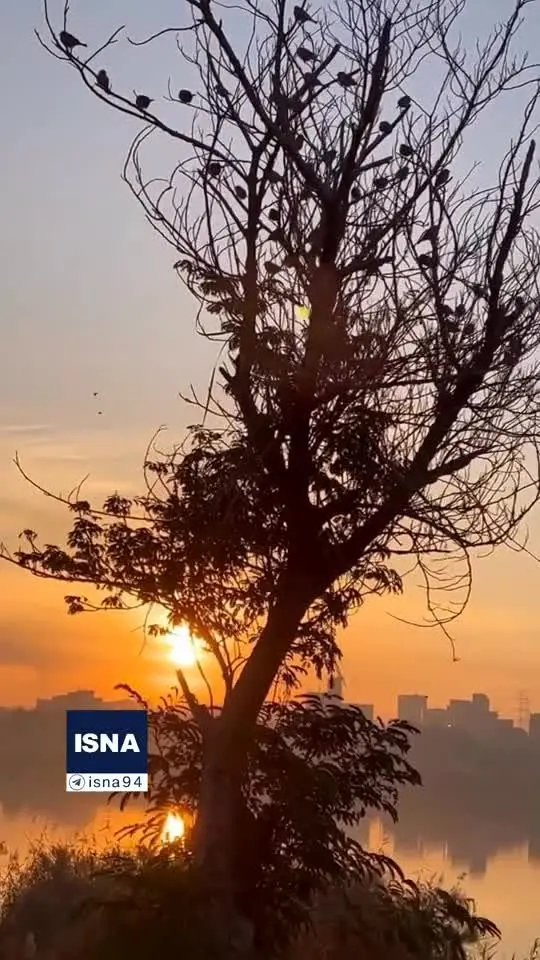 ببینید | ویدئویی زیبا از طلوع خورشید حوالی کارون