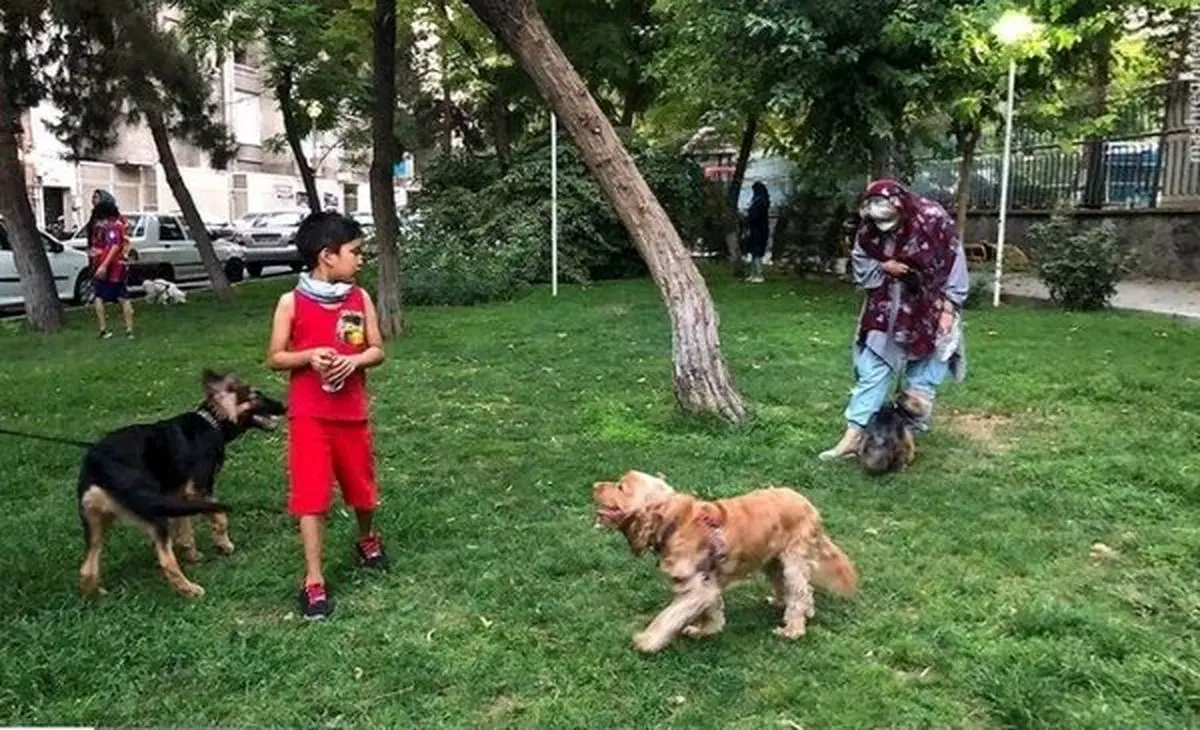 پليس،گيلان،قضايي،برخورد،عمومي،اعلام،ممنوع،حمل،دستگاه،استان،قانون