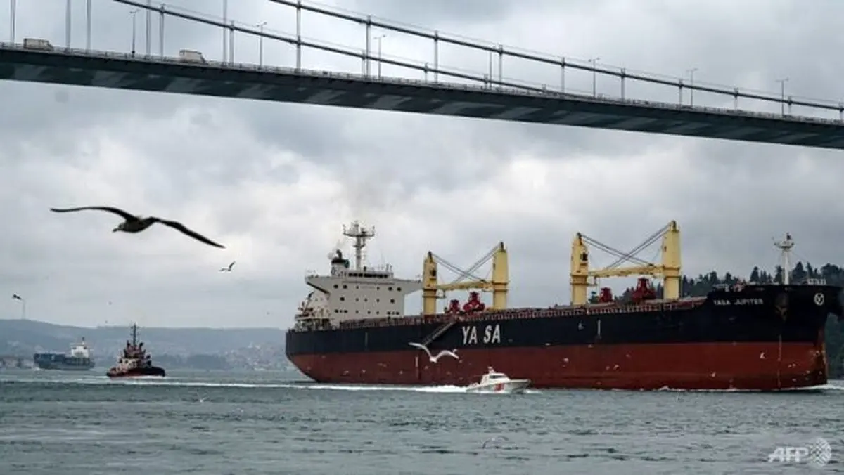 روسیه به ۲ کشتی تجاری در اودسا حمله کرده