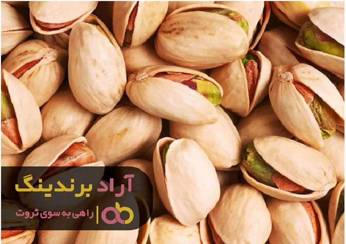 پر درآمدترین راه کسب ثروت را یافتم