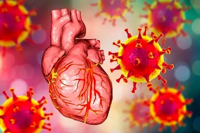 واکسن کووید-۱۹ می‌تواند بافت آسیب‌دیده قلب را ترمیم کند