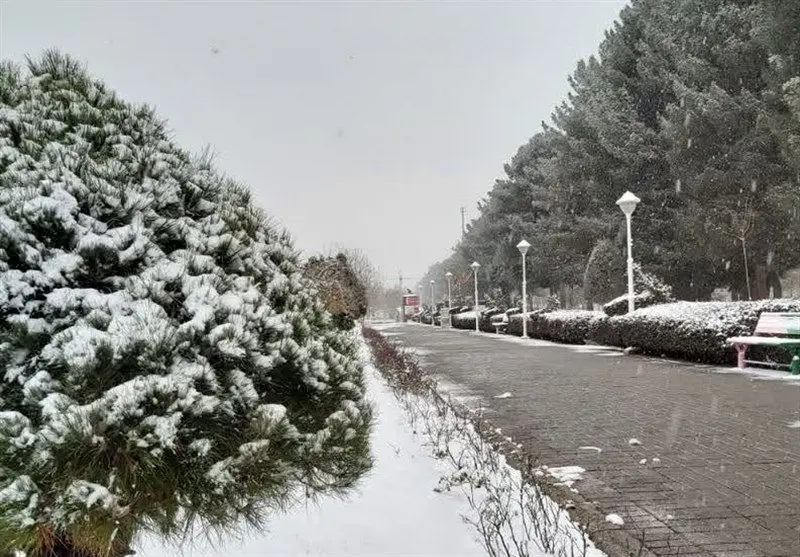 ویدئو | اولین برف پاییزی در ترکیه/ این سامانه از فردا به شمال‌غرب کشور وارد می‌شود