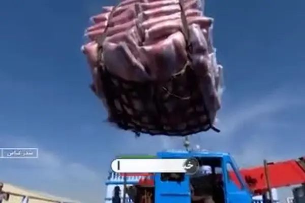 ببینید| توضیحات تازه قیمت برنج های وارداتی