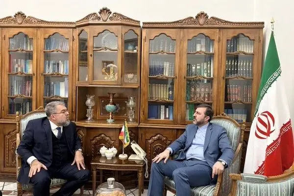 گزارش غریب‌آبادی از گفت‌وگو با سفیر برزیل؛ تأکید بر همکاری‌های گسترده دوجانبه و بین‌المللی