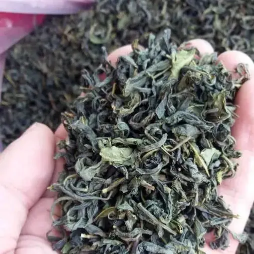 کشف ۳۷۰۰ تن چای سبز و سیاه غیراستاندارد در گیلان