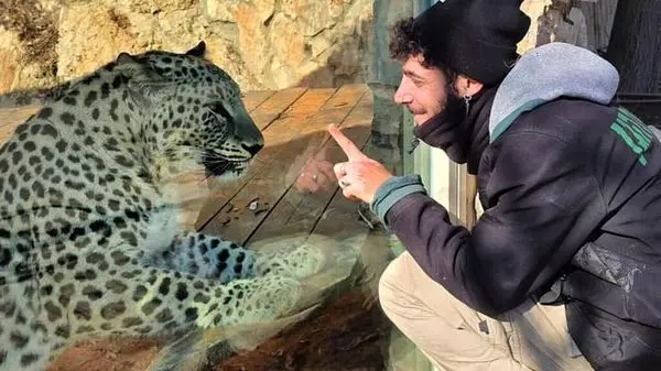 پلنگ ایرانی یک اسرائیلی را دَرید