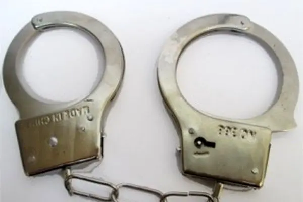 ربودن دختر 4ساله به خاطر دلتنگی‌های مادر