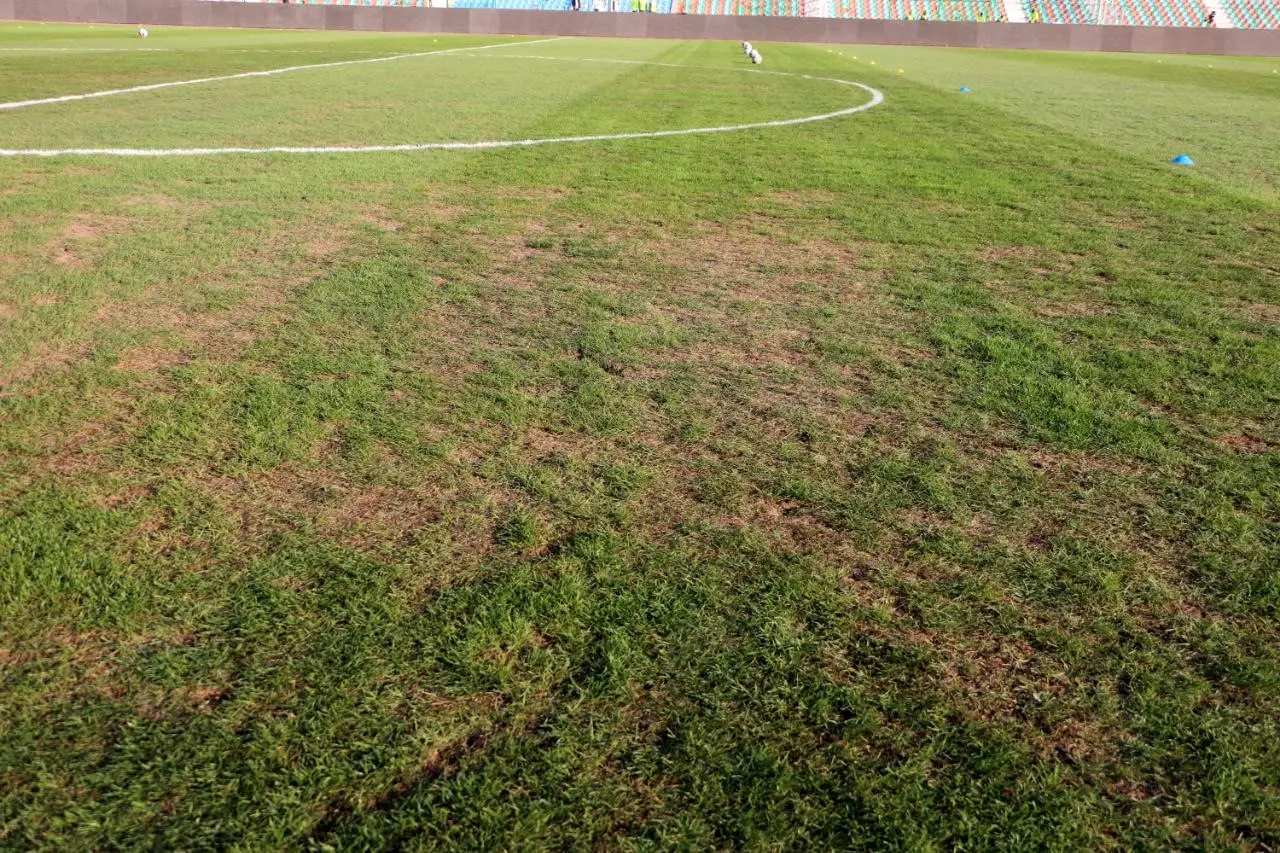 چمن،ورزشگاه،وضعيت