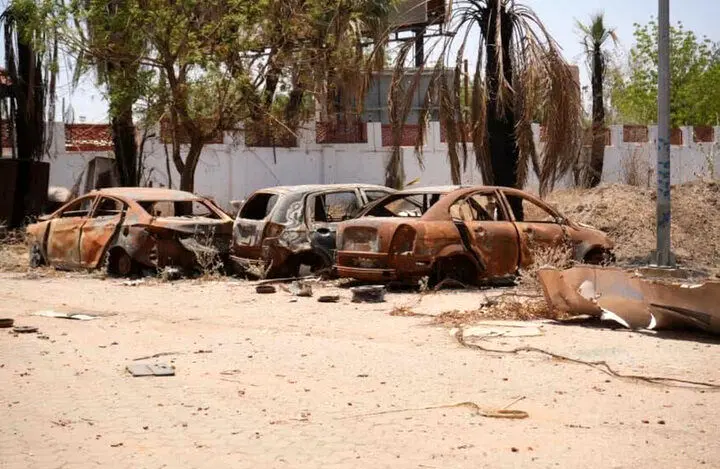 سودان،نيروهاي،مسلح،فرماندهي،پشتيباني،درگيري،سريع