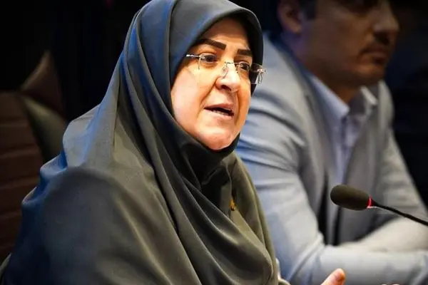 مهاجرانی: در لایحه مشاغل حساس ابهاماتی در واژگان وجود داشت/ جمع‌بندی دولت این بود که این لایحه مسترد شود